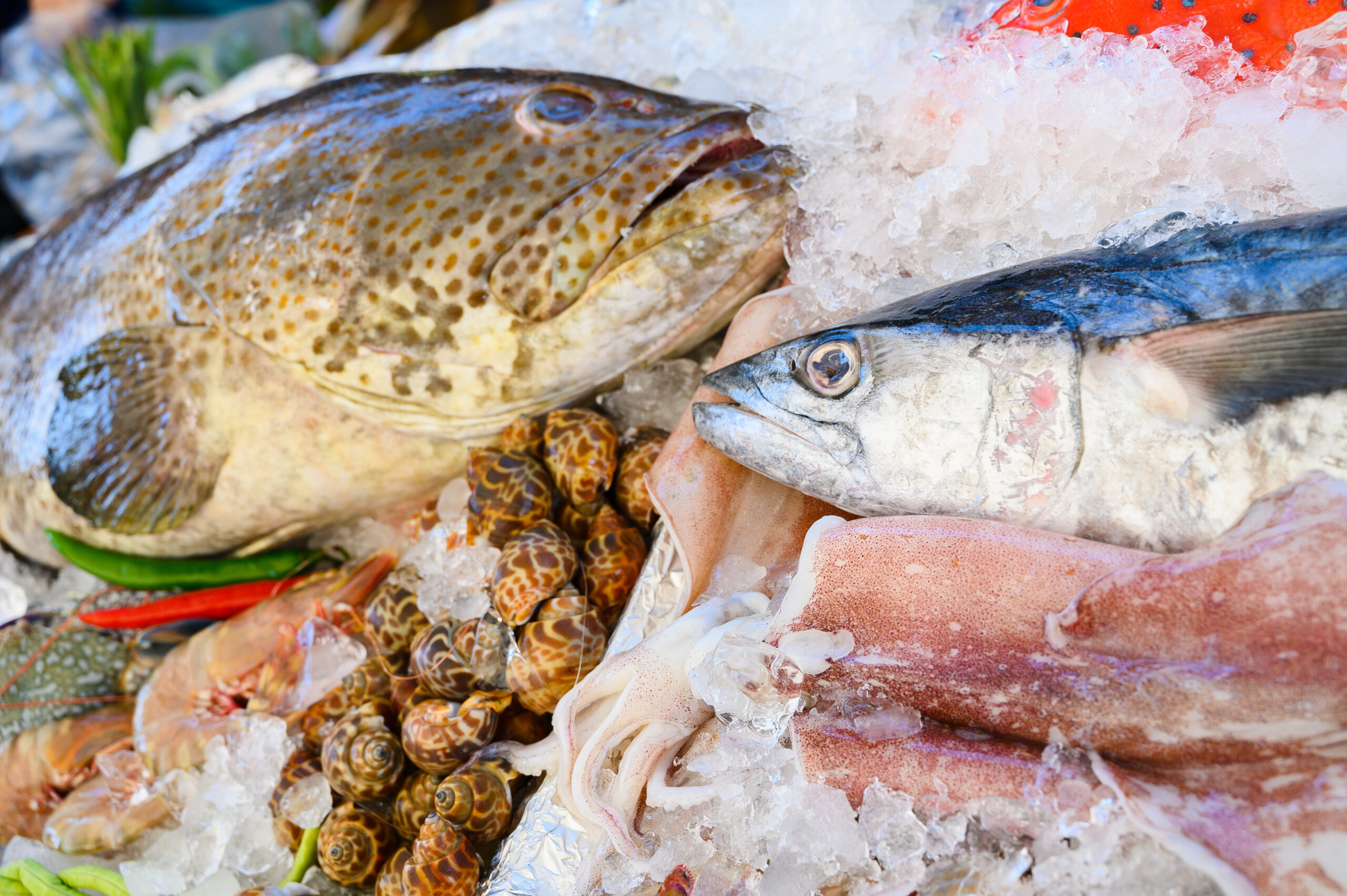 關於旅居漁村-海鮮
