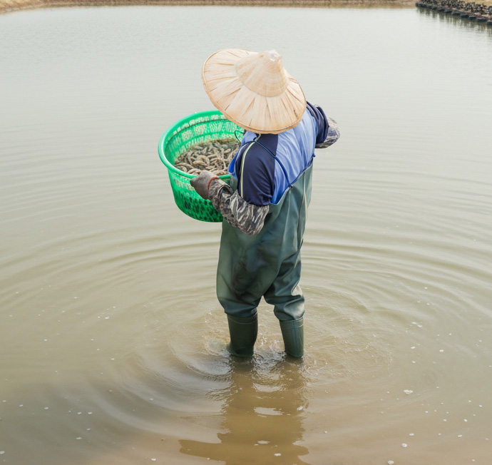 關於旅居漁村-台西