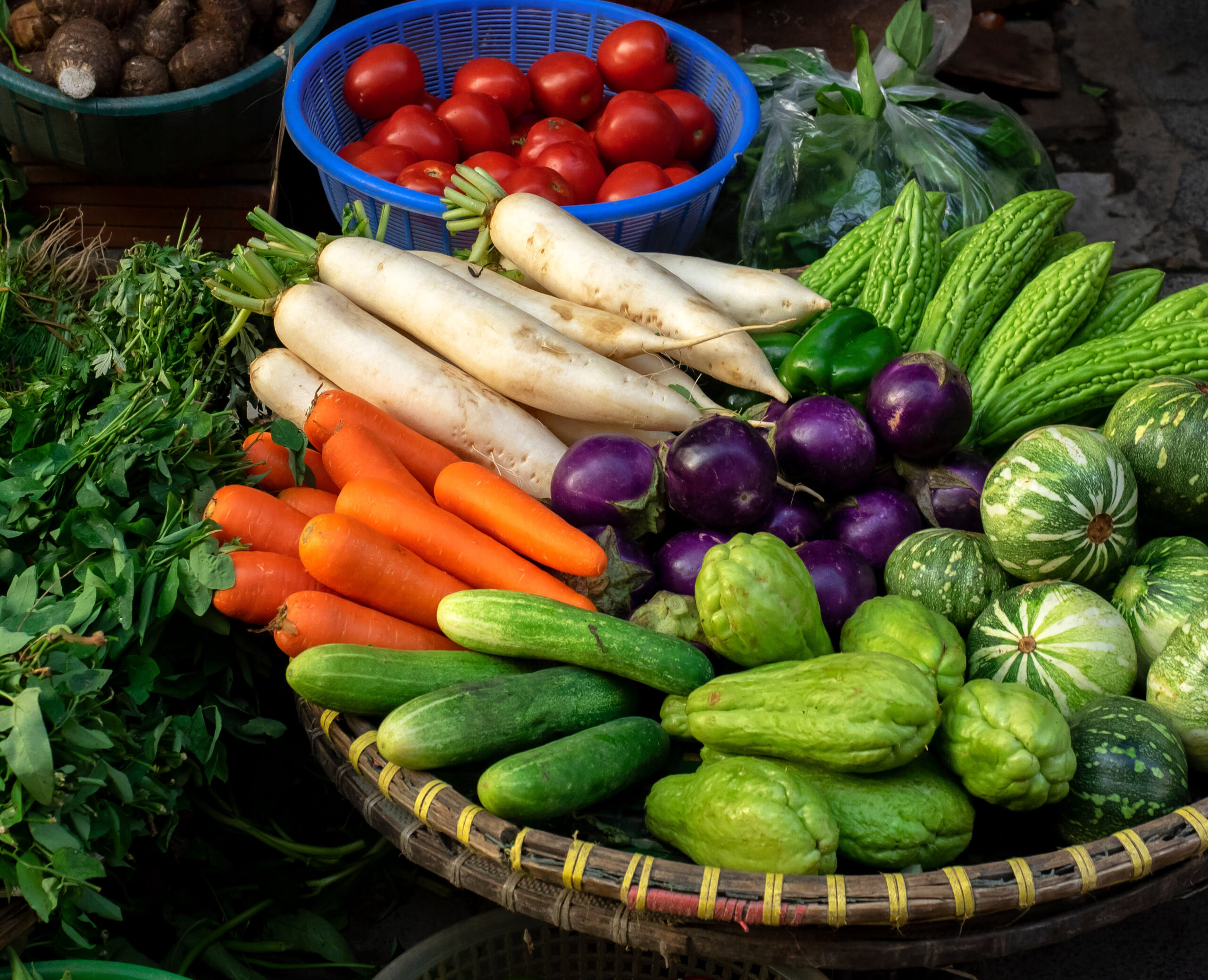 關於旅居漁村-蔬菜