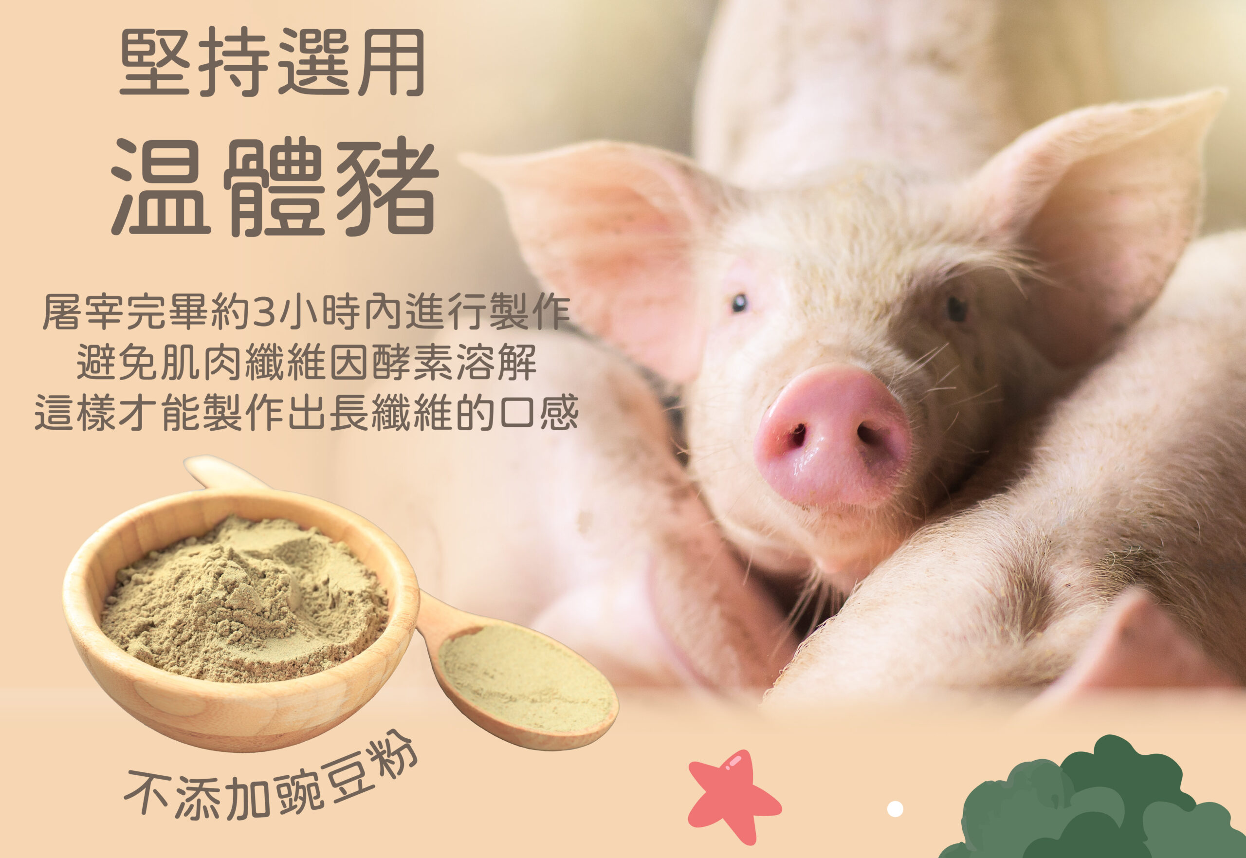 寶寶純肉鬆(150克)