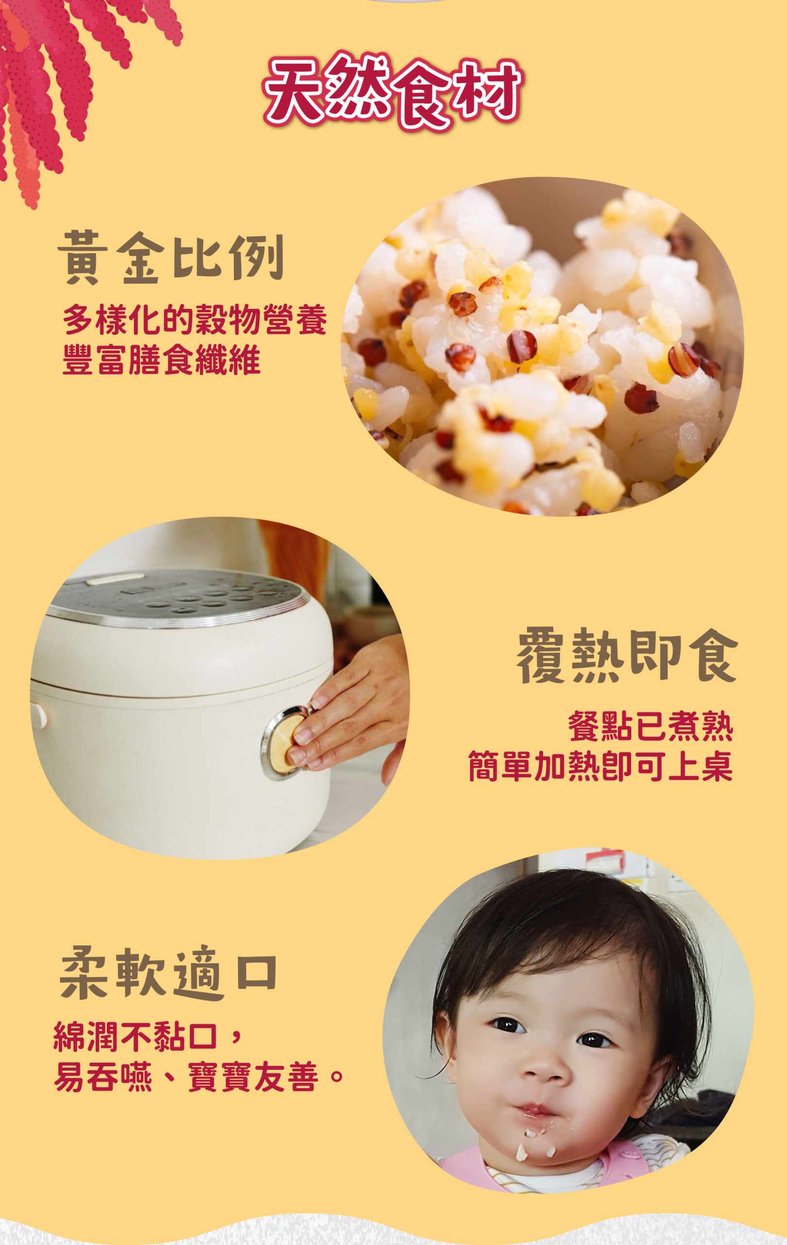 紅藜小米飯(100克)